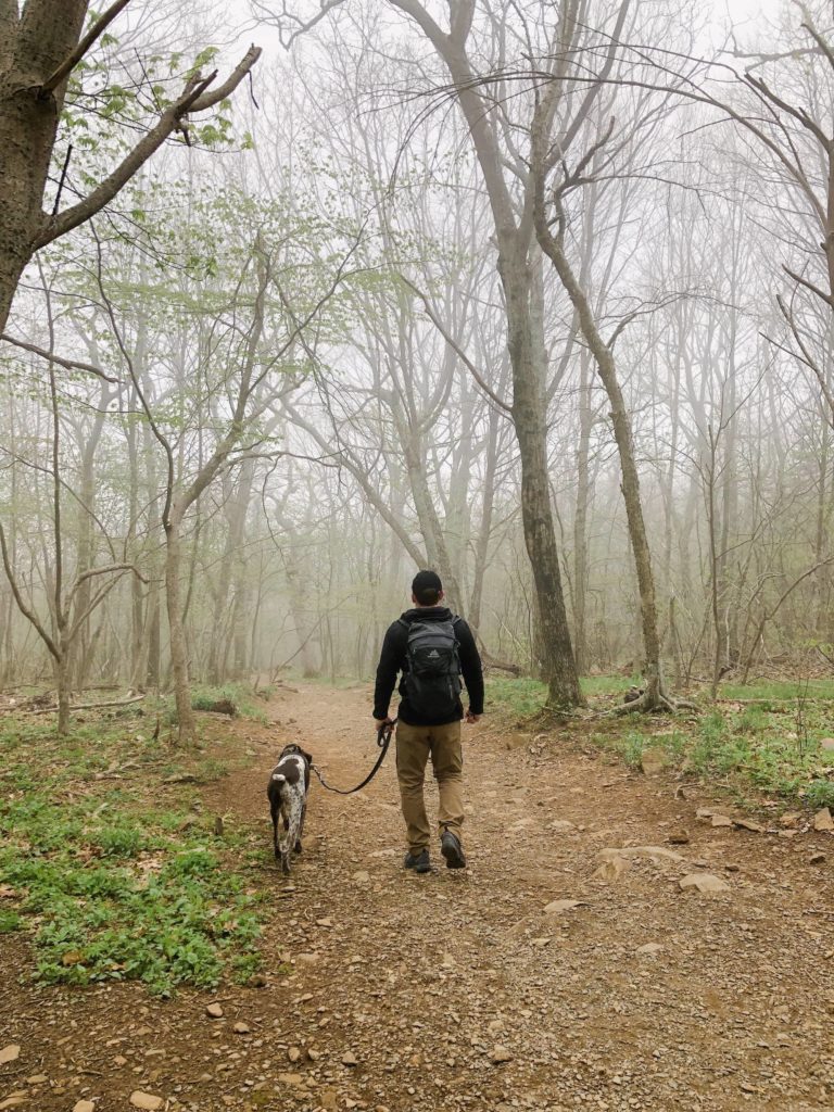 Top 10 DogFriendly Hikes in Shenandoah National Park All Places Dog