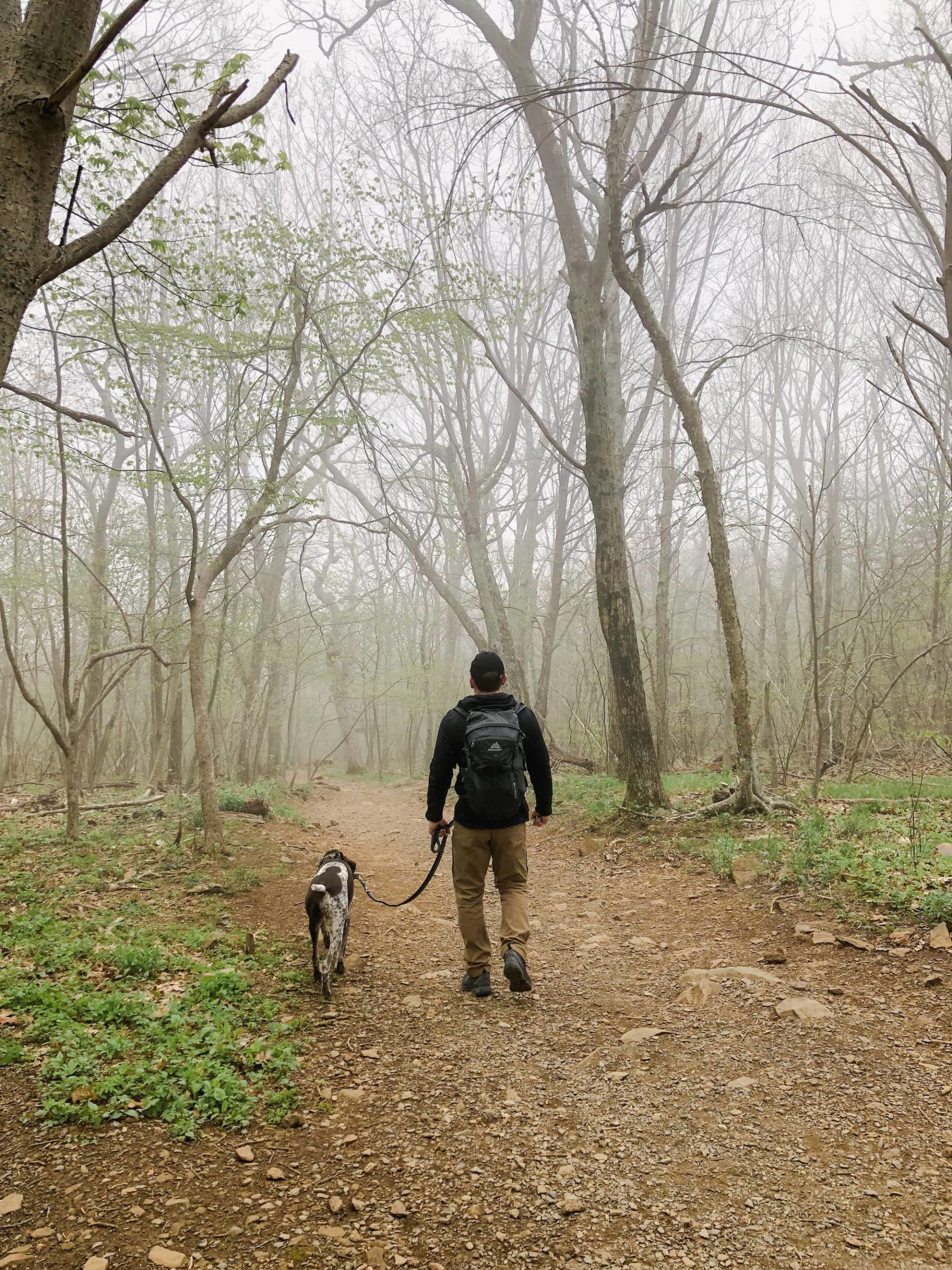 A man and dog walking on a trail in Shenandoah National Park