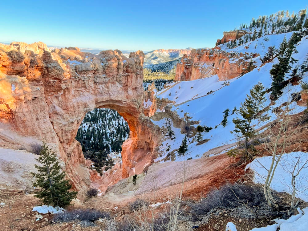 Bryce Natural Bridge surrounded by pine trees and snow