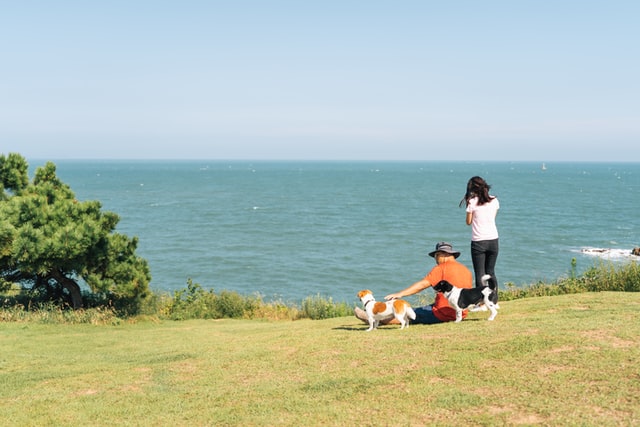 A man and woman sitting with their two dogs at the park