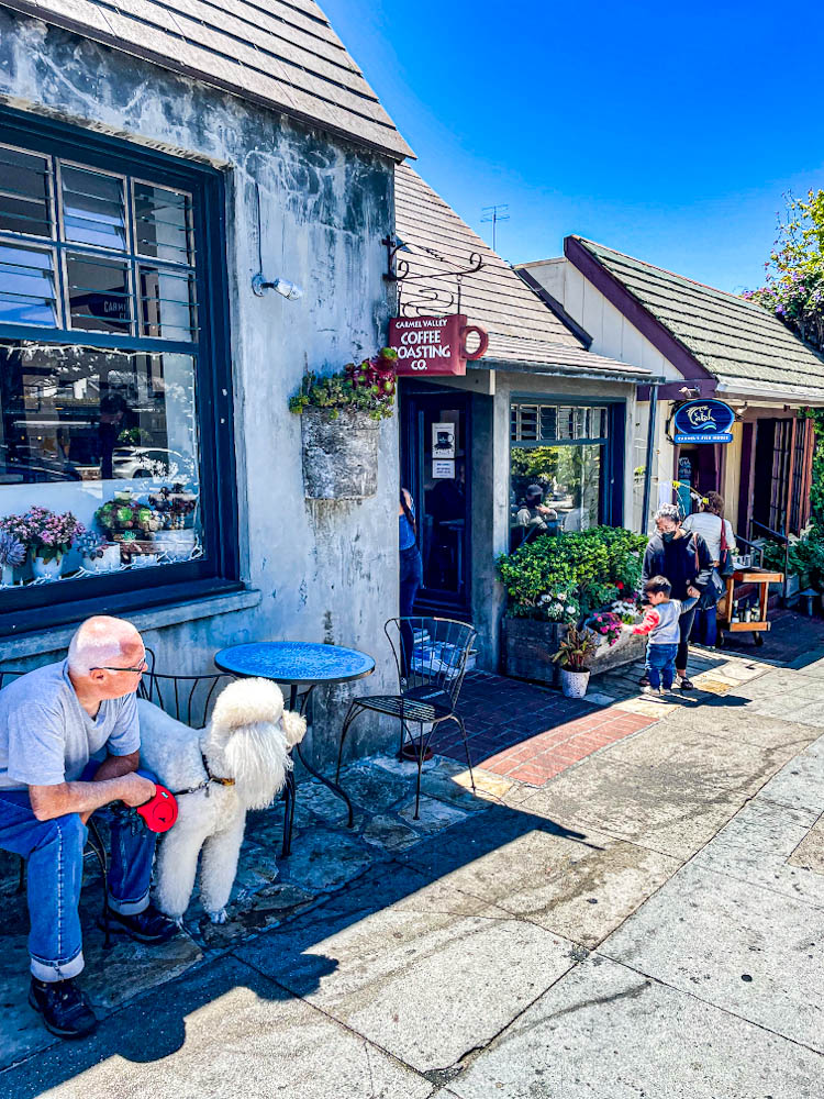 A man and his poodle sitting in the outdoor seating area at Carmel Valley Roasting Co.