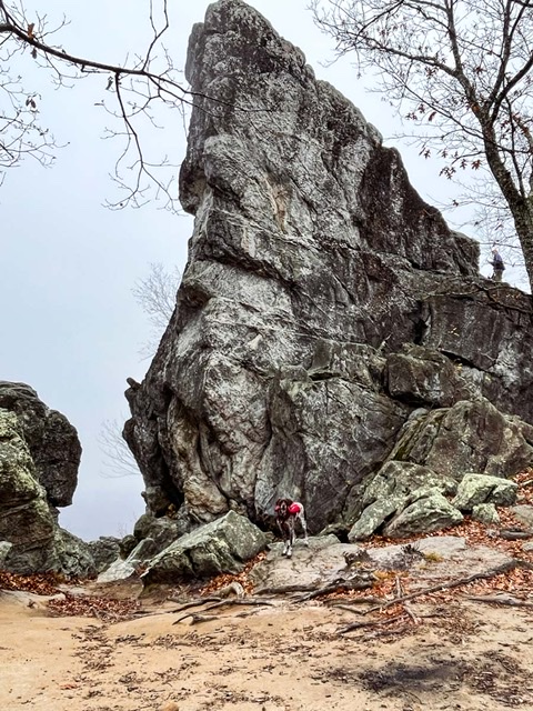 German Shorthaired Pointer standing in front of Dragon's Tooth Rock