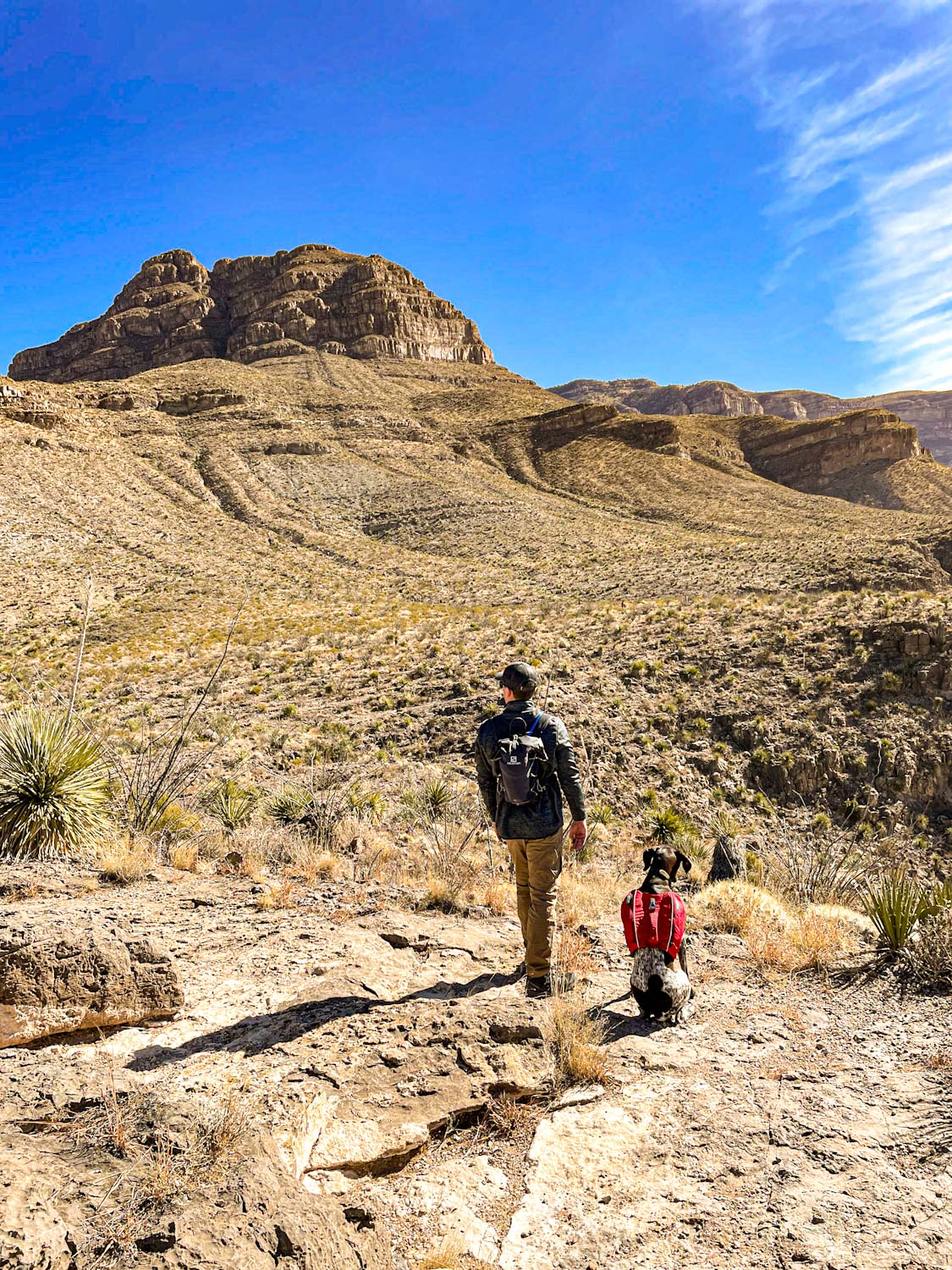 Man and his dog standing on a ledge and looking out at a desert valley surrounded by mountains