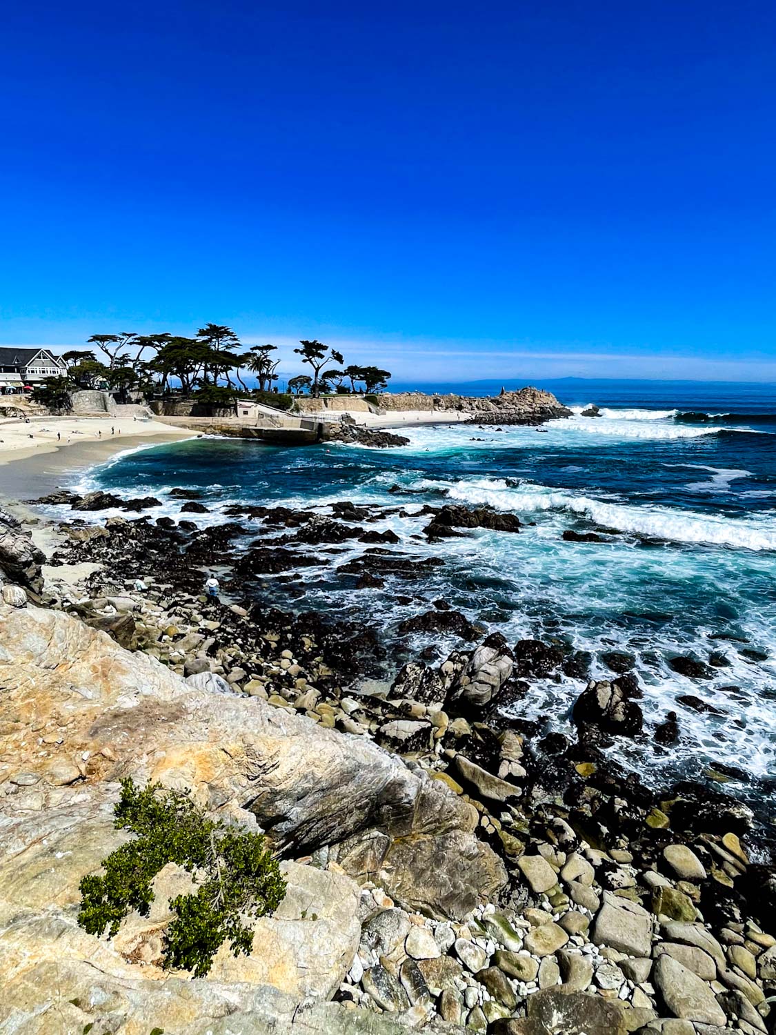 Crashing waves on the coast of Monterey, California