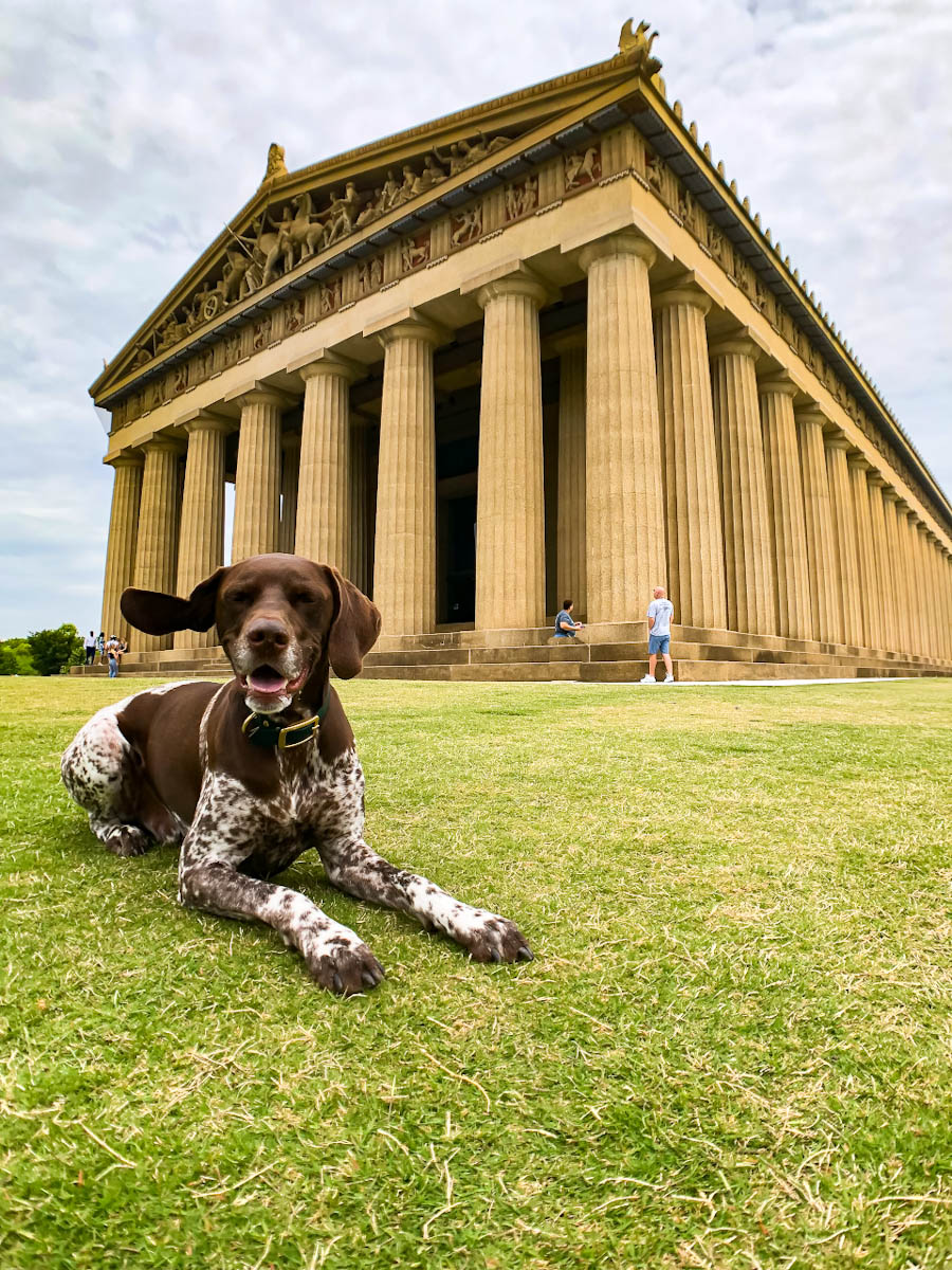 Tennessee dog friendly places All Places Dog