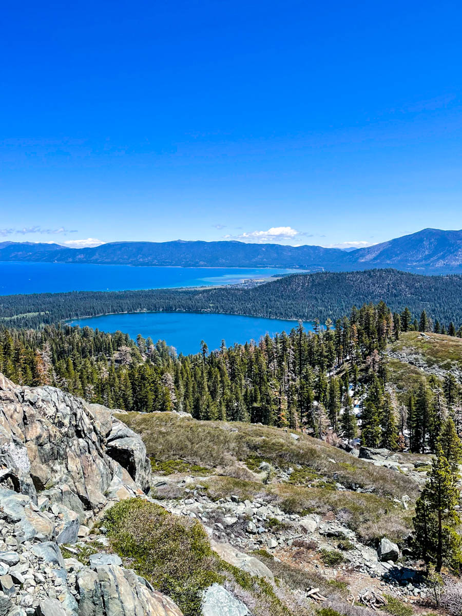 Lake Tahoe surrounded by pine trees