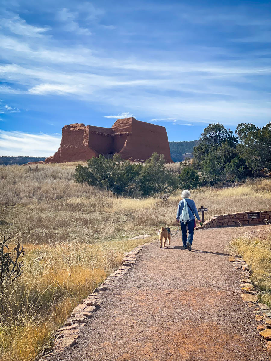new-mexico-dog-friendly-places-all-places-dog