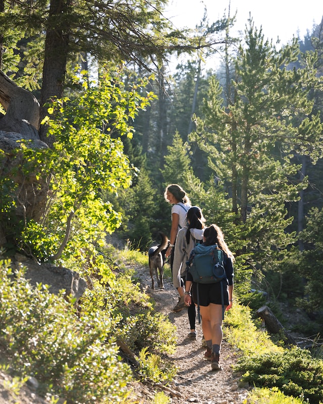 Three woman hiking with a dog on a girt dirt path surrounded by lush conifer trees