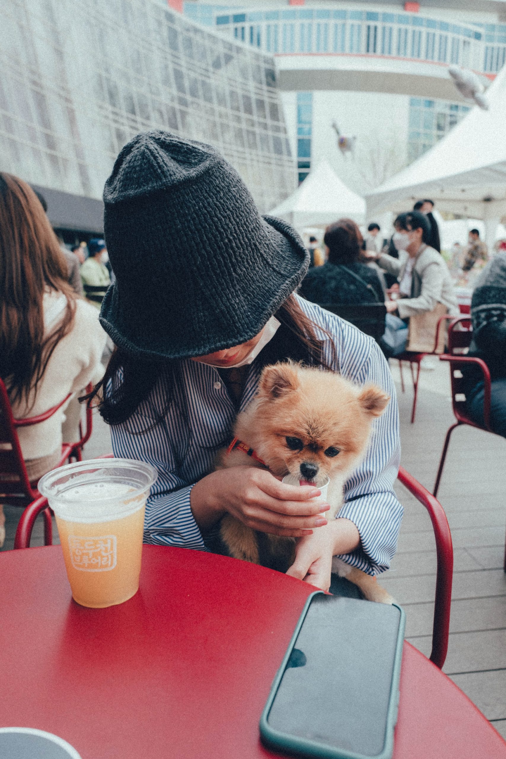 Woman holding her small dog while sitting at an outdoor table at a restaurant