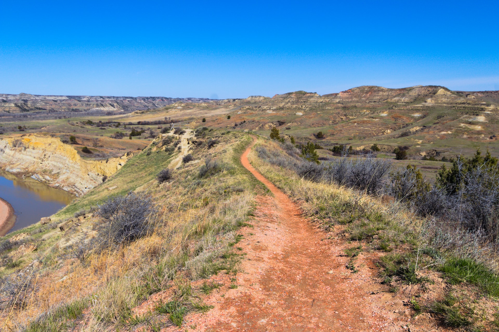 A dry meadow with yellowish-green grass on both sides of a narrow dirt trail