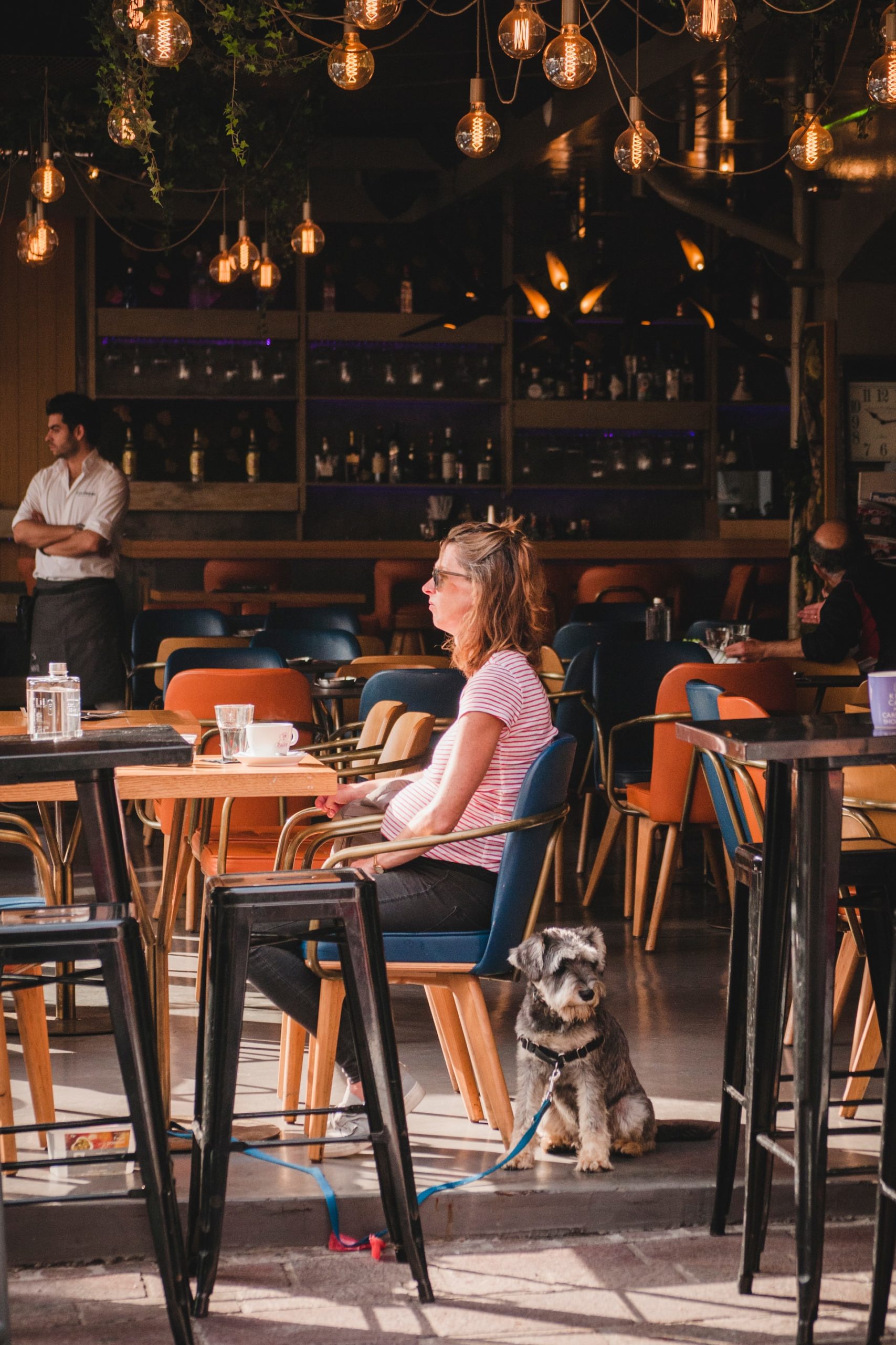 Woman seated in a restaurant with her dog leashed to her table